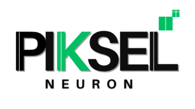 Piksel Neuron Logo